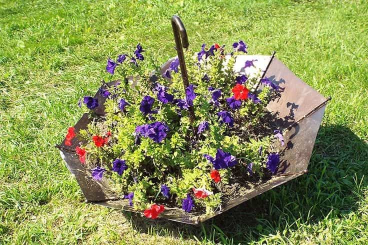 Симпатичная клумба из зонта, которая украсит ваш сад 