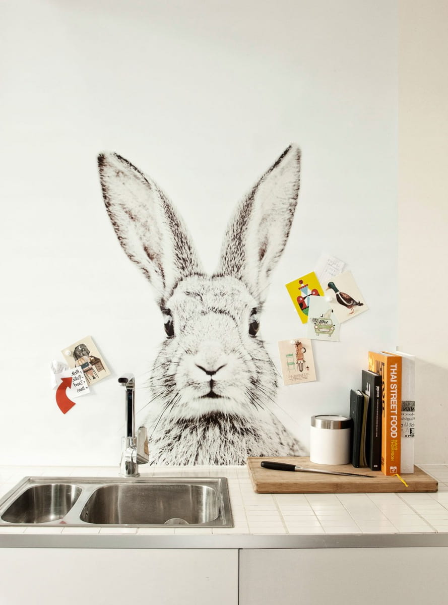 Оригинальное оформление рабочей зоны фотообоями с изображением забавного кролика