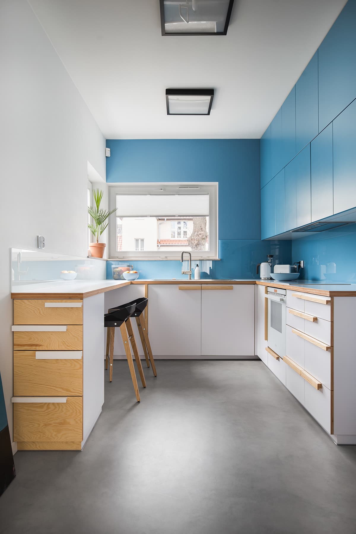 Современная бело-голубая узкая кухня в стиле минимализм, где главный акцент сделан на простоту и выразительность