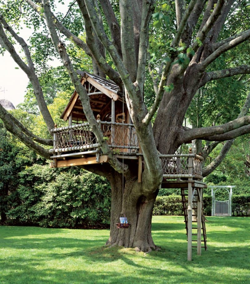 Красивый домик, удачно расположившийся в кроне большого дерева