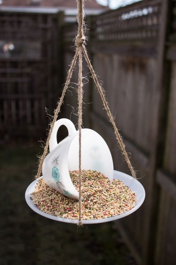 Необычная кормушка для птиц из чайного блюдца