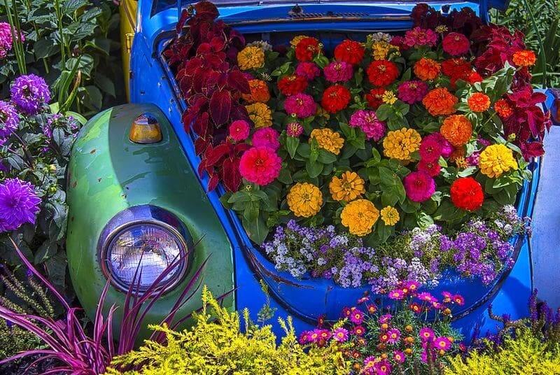 Красивые Дачи — 100 фото идей и хитростей для вашего дома и сада