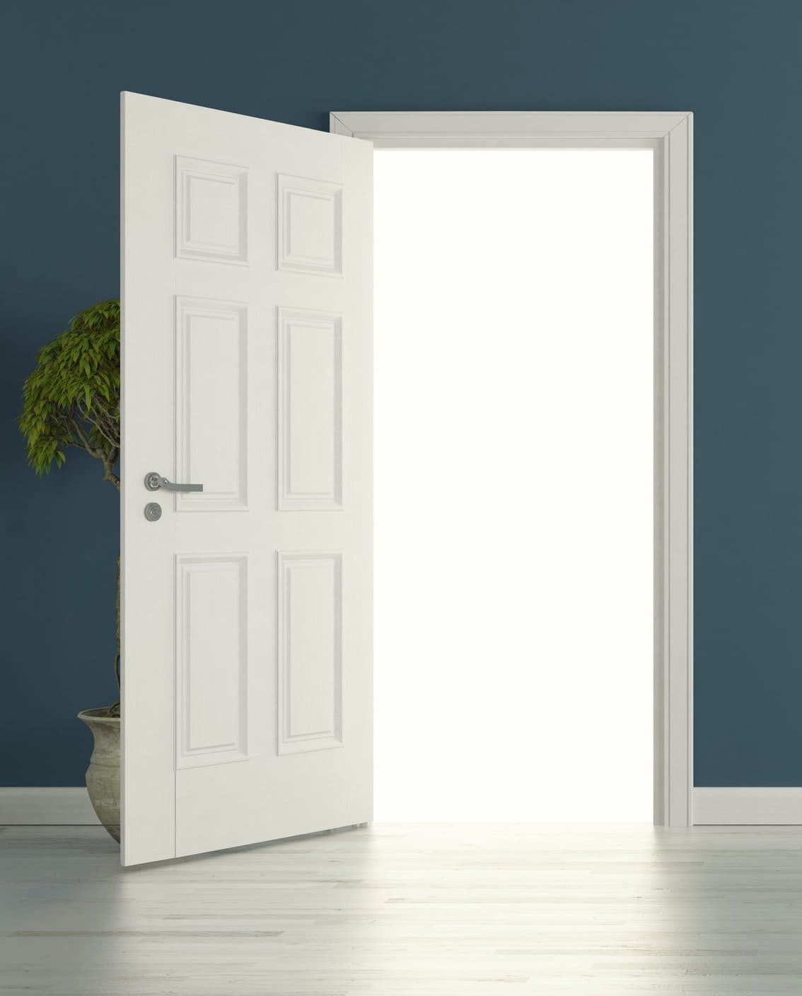 межкомнатная дверь фото 51